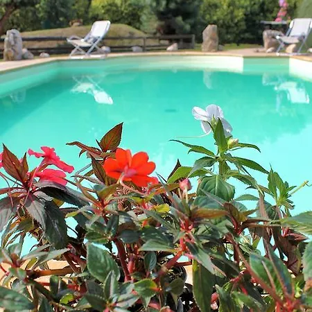 La Zampa Bed & Breakfast Pieve Otto Ville